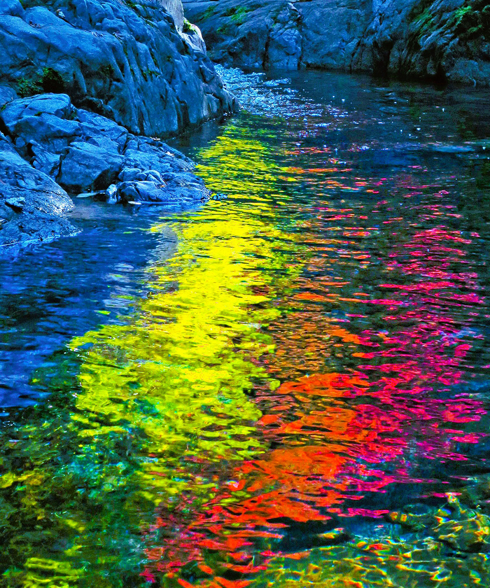 えひめ自然公園フォトキャンペーン