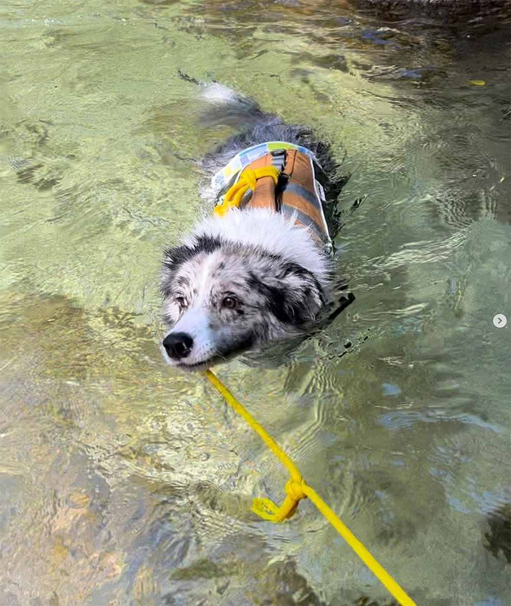 えひめ自然公園フォトキャンペーン