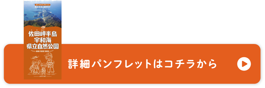 詳細パンフレットはこちらから