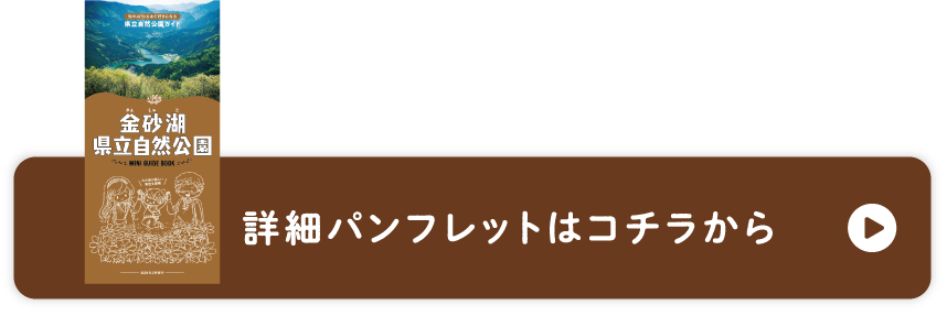 詳細パンフレットはこちらから