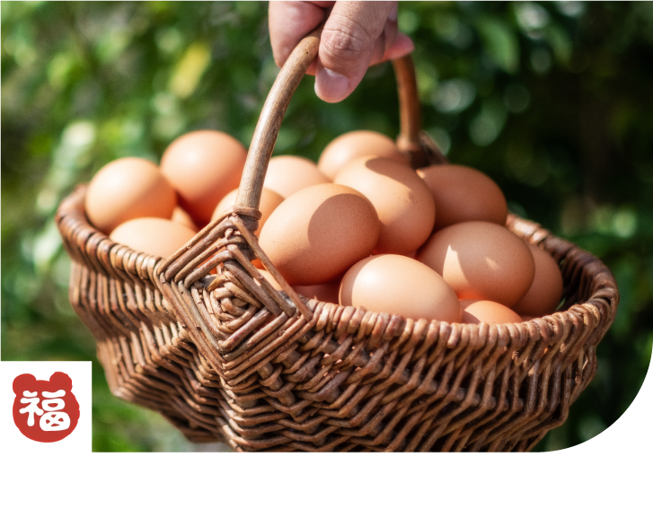 美豊卵セット（たまご専門店 熊福）